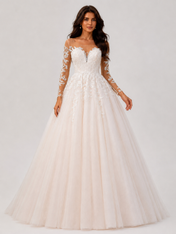 Elegant Illusion Long-Sleeve Lace Tulle A-Line Wedding Dress with Chapel Train