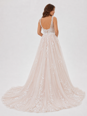Elegant Illusion V-Neck Lace Applique A-Line Wedding Dress with Chapel Train
