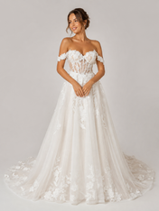Elegant Off-the-Shoulder Lace Appliquéd Tulle A-Line Wedding Dress with Chapel Train