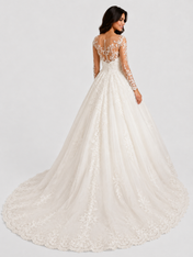 Elegant Illusion Long-Sleeve Lace Tulle A-Line Wedding Dress with Chapel Train