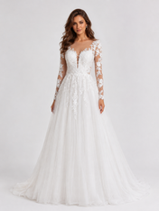 Elegant Illusion Long-Sleeve Tulle A-Line Wedding Dress with Sweep Train