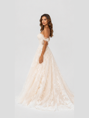 Elegant Floral Applique Tulle A-Line Wedding Dress with Sweep Train