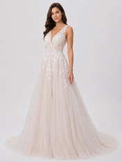 Elegant Illusion V-Neck Lace Applique A-Line Wedding Dress with Chapel Train