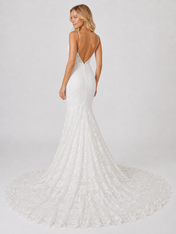 Elegant Spaghetti Strap V-Neck Lace Mermaid Wedding Dress with Chapel Train