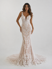 Elegant Illusion V-Neck Lace Appliqué Mermaid Wedding Dress with Chapel Train
