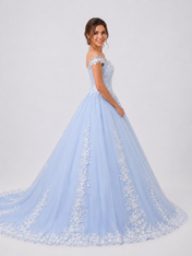 Elegant Off-the-Shoulder Lace Applique Blue A-Line Wedding Dress with Chapel Train