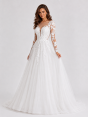 Elegant Illusion Long-Sleeve Tulle A-Line Wedding Dress with Sweep Train