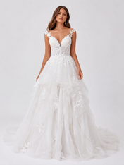 Elegant V-Neck Lace Applique Tulle A-Line Wedding Dress with Sweep Train