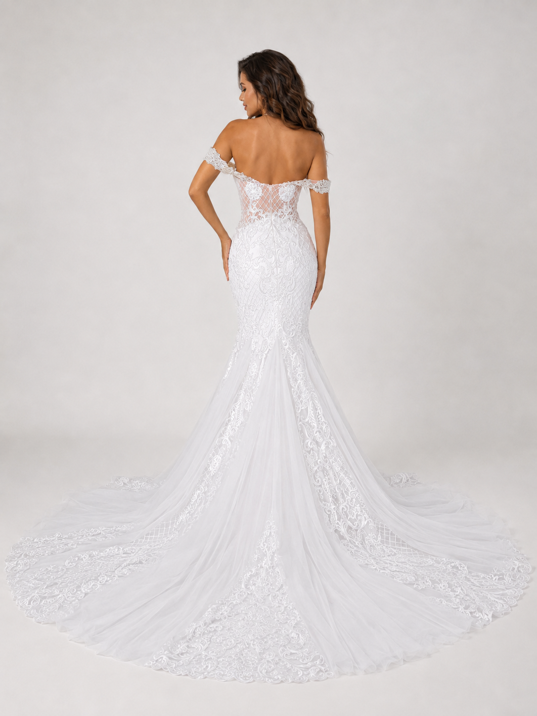 Elegant Off-the-Shoulder Illusion Plunge Lace Mermaid Wedding Dress with Chapel Train