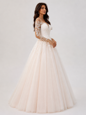 Elegant Illusion Long-Sleeve Lace Tulle A-Line Wedding Dress with Chapel Train