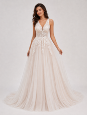Elegant Illusion V-Neck Lace Applique A-Line Wedding Dress with Chapel Train
