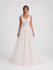 Elegant V-Neck Lace Applique Tulle A-Line Wedding Dress with Chapel Train