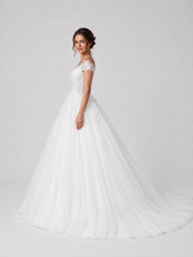 Elegant Cap Sleeve Lace Applique Tulle A-Line Wedding Dress with Chapel Train