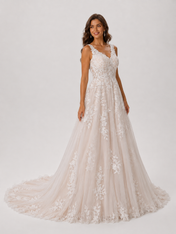 Elegant V-Neck Appliqued Tulle A-Line Wedding Dress with Chapel Train