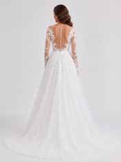 Elegant Illusion Long-Sleeve Tulle A-Line Wedding Dress with Sweep Train