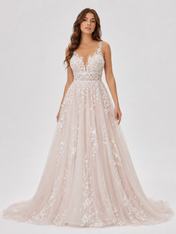 Elegant Illusion V-Neck Lace Applique A-Line Wedding Dress with Chapel Train