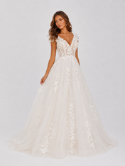 Elegant Floral Applique Tulle A-Line Wedding Dress with Sweep Train