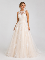 Elegant Illusion High-Neck Lace Applique Tulle A-Line Wedding Dress with Chapel Train