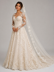 Elegant Illusion Long-Sleeve Lace Applique A-Line Wedding Dress with Chapel Train