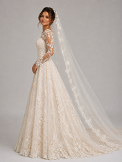 Elegant Illusion Long-Sleeve Lace Applique A-Line Wedding Dress with Chapel Train