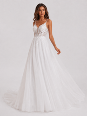 Elegant Spaghetti Strap V-Neck Lace Applique Tulle A-Line Wedding Dress with Chapel Train