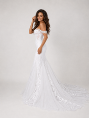 Elegant Off-the-Shoulder Illusion Plunge Lace Mermaid Wedding Dress with Chapel Train