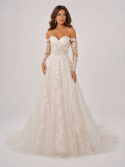 Elegant Off-the-Shoulder Lace Applique Tulle A-Line Wedding Dress with Chapel Train