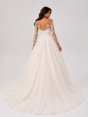 Elegant Illusion Long-Sleeve Lace Tulle A-Line Wedding Dress with Chapel Train