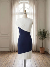 Color Block Sleeveless Dress with Asymmetric Drape Neckline Formal Evening Dresses