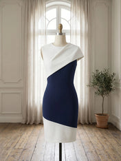 Color Block Sleeveless Dress with Asymmetric Drape Neckline Formal Evening Dresses