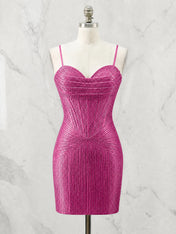 Fuchsia-76