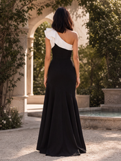 Black and White One-Shoulder Ruffle A-line Floor-Length Gown Dress