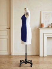 Royal Blue Color-Block Sleeveless Midi Sheath Dress Formal Evening Dresses