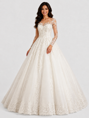 Elegant Illusion Long-Sleeve Lace Tulle A-Line Wedding Dress with Chapel Train