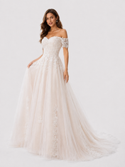 Elegant Off-the-Shoulder Lace Applique A-Line Wedding Dress with Chapel Train
