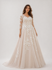 Elegant Illusion V-Neck Lace Applique Tulle A-Line Wedding Dress with Chapel Train