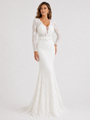 Elegant Long Sleeve V-Neck Illusion Lace Mermaid Wedding Dress with Chapel Train