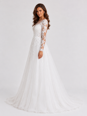 Elegant Illusion Long-Sleeve Tulle A-Line Wedding Dress with Sweep Train