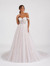 Elegant Off-the-Shoulder Lace Bodice Tulle A-Line Wedding Dress with Chapel Train