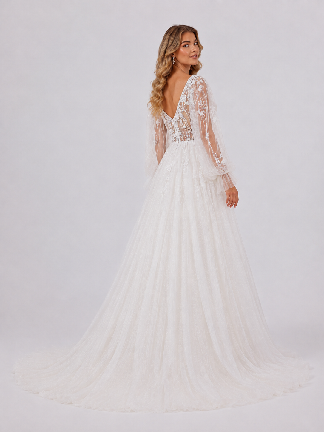 Elegant Long Sleeve Deep V-Neck Lace Tulle A-Line Wedding Dress with Chapel Train