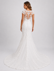 Elegant Illusion Cap-Sleeve Lace Mermaid Wedding Dress with Chapel Train