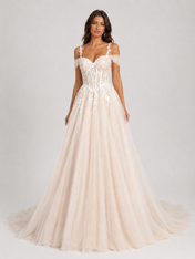 Elegant Floral Applique Tulle A-Line Wedding Dress with Sweep Train