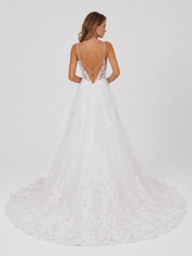 Elegant V-Neck Spaghetti Strap Lace Appliquéd Tulle A-Line Wedding Dress with Chapel Train