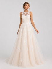 Elegant Illusion High-Neck Lace Applique Tulle A-Line Wedding Dress with Chapel Train