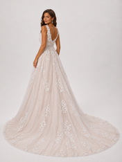 Elegant V-Neck Appliqued Tulle A-Line Wedding Dress with Chapel Train