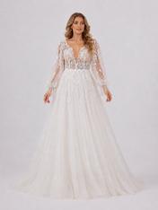Elegant Long Sleeve Deep V-Neck Lace Tulle A-Line Wedding Dress with Chapel Train