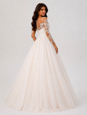 Elegant Illusion Long-Sleeve Lace Tulle A-Line Wedding Dress with Chapel Train