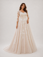 Elegant Illusion V-Neck Lace Applique Tulle A-Line Wedding Dress with Chapel Train